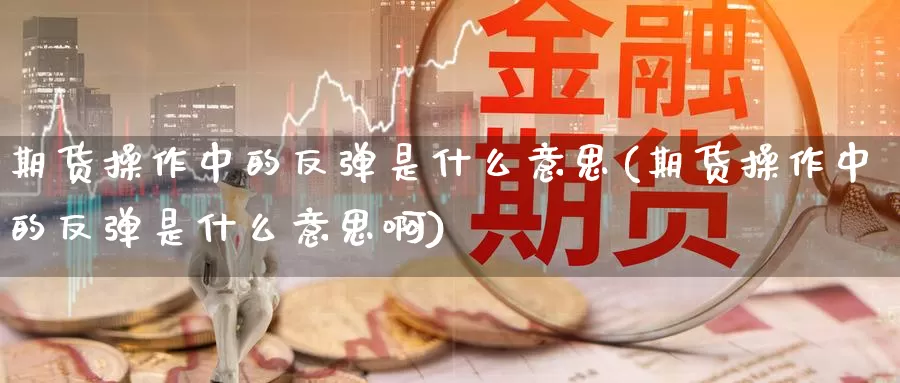 期货操作中的反弹是什么意思(期货操作中的反弹是什么意思啊)_https://www.wjxxbs.com_期货入门_第1张