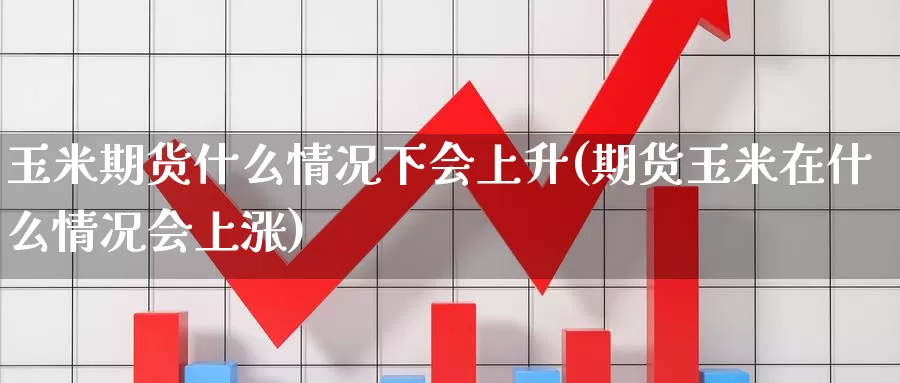 玉米期货什么情况下会上升(期货玉米在什么情况会上涨)_https://www.wjxxbs.com_外汇行情_第1张