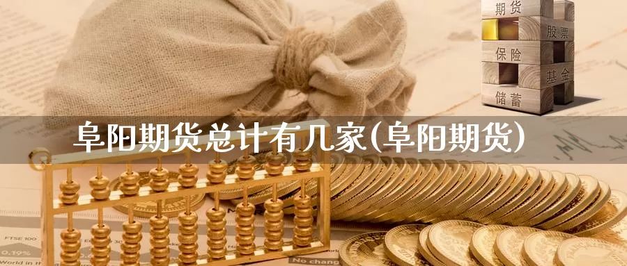 阜阳期货总计有几家(阜阳期货)_https://www.wjxxbs.com_期货入门_第1张