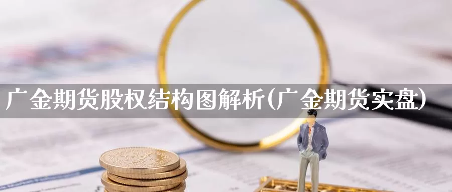 广金期货股权结构图解析(广金期货实盘)_https://www.wjxxbs.com_期货入门_第1张