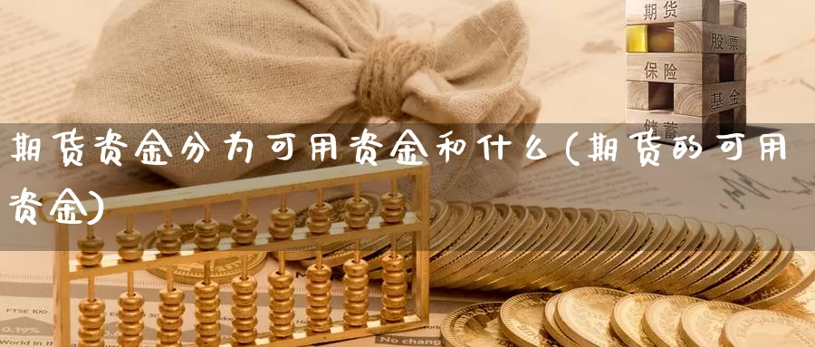 期货资金分为可用资金和什么(期货的可用资金)_https://www.wjxxbs.com_期货入门_第1张