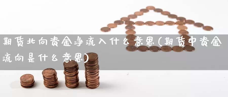 期货北向资金净流入什么意思(期货中资金流向是什么意思)_https://www.wjxxbs.com_期货入门_第1张