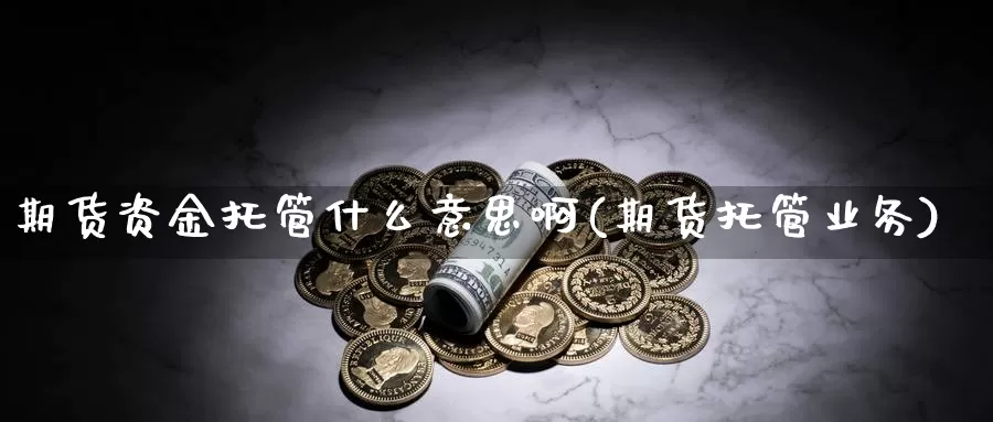 期货资金托管什么意思啊(期货托管业务)_https://www.wjxxbs.com_期货入门_第1张