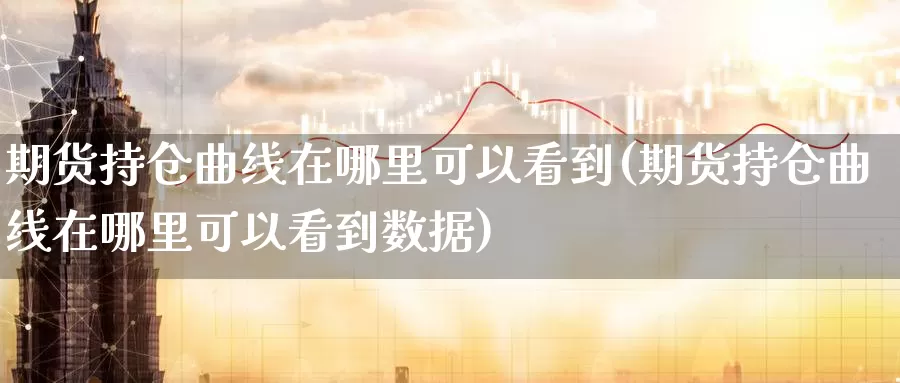 期货持仓曲线在哪里可以看到(期货持仓曲线在哪里可以看到数据)_https://www.wjxxbs.com_外汇直播室_第1张