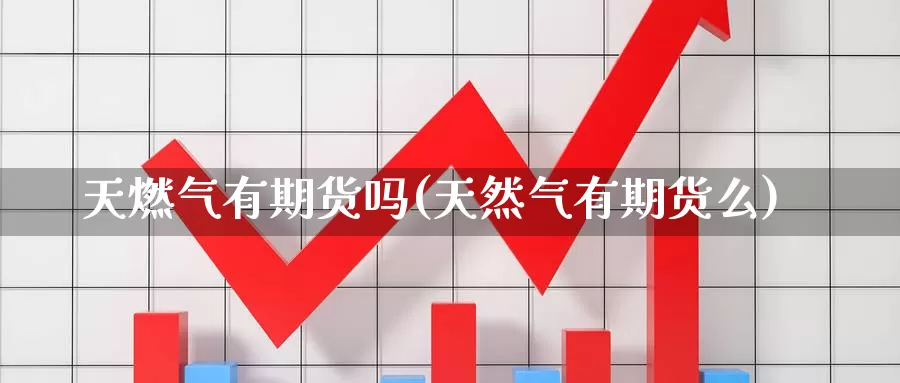 天燃气有期货吗(天然气有期货么)_https://www.wjxxbs.com_期货入门_第1张