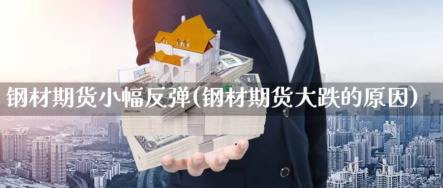 钢材期货小幅反弹(钢材期货大跌的原因)_https://www.wjxxbs.com_外汇行情_第1张