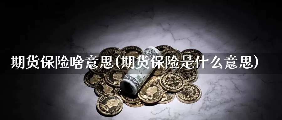 期货保险啥意思(期货保险是什么意思)_https://www.wjxxbs.com_期货入门_第1张