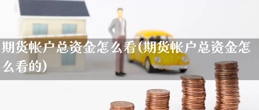 期货帐户总资金怎么看(期货帐户总资金怎么看的)_https://www.wjxxbs.com_期货入门_第1张