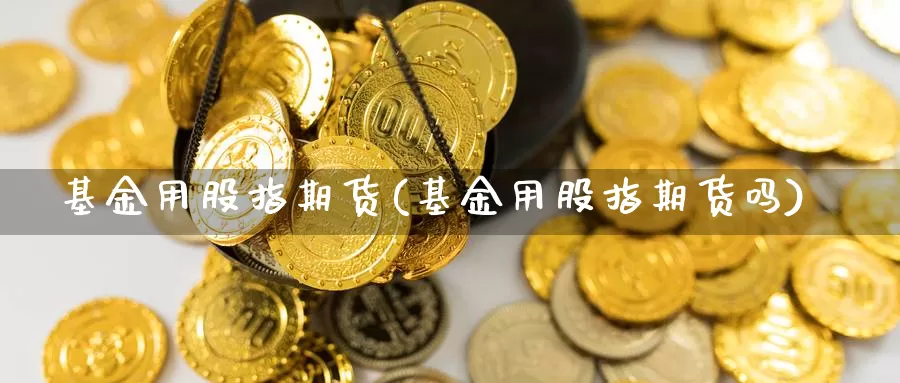 基金用股指期货(基金用股指期货吗)_https://www.wjxxbs.com_期货入门_第1张