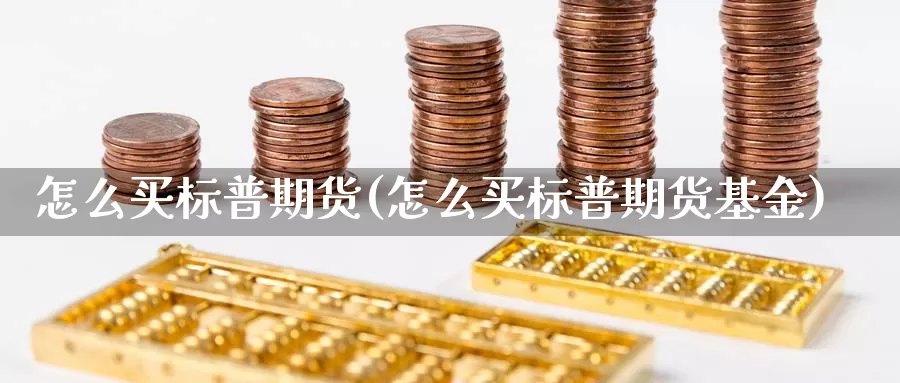 怎么买标普期货(怎么买标普期货基金)_https://www.wjxxbs.com_外汇行情_第1张