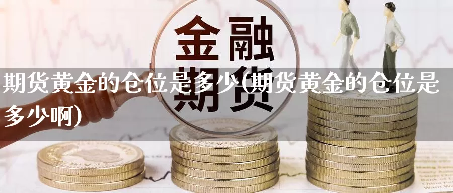 期货黄金的仓位是多少(期货黄金的仓位是多少啊)_https://www.wjxxbs.com_外汇行情_第1张