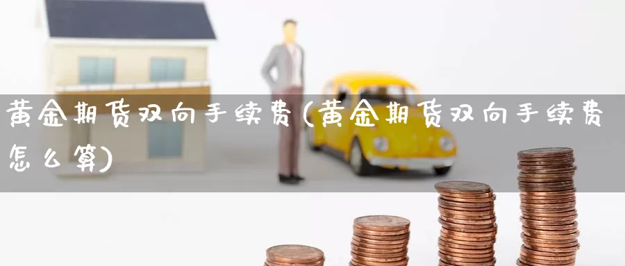 黄金期货双向手续费(黄金期货双向手续费怎么算)_https://www.wjxxbs.com_外汇直播室_第1张