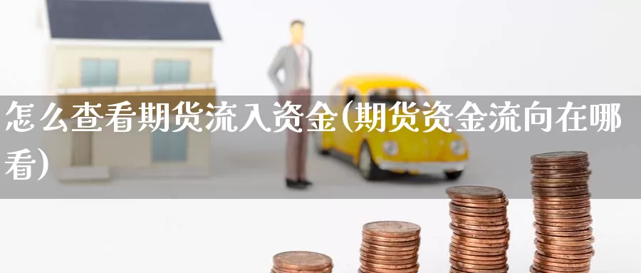 怎么查看期货流入资金(期货资金流向在哪看)_https://www.wjxxbs.com_外汇直播室_第1张