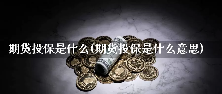 期货投保是什么(期货投保是什么意思)_https://www.wjxxbs.com_期货入门_第1张