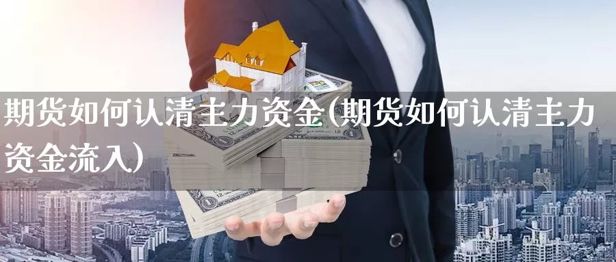 期货如何认清主力资金(期货如何认清主力资金流入)_https://www.wjxxbs.com_期货入门_第1张