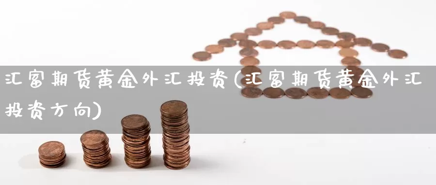 汇富期货黄金外汇投资(汇富期货黄金外汇投资方向)_https://www.wjxxbs.com_期货入门_第1张