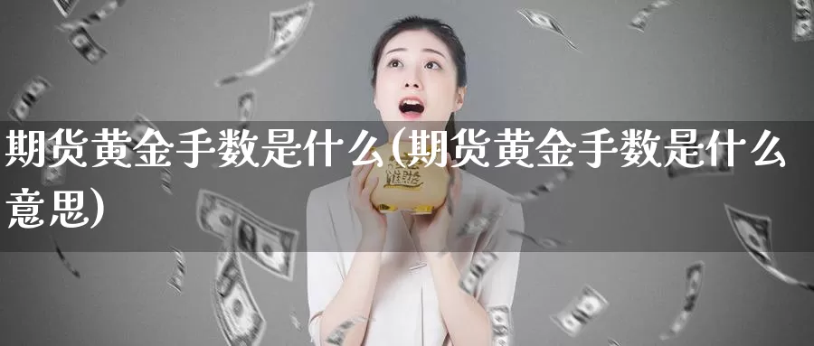 期货黄金手数是什么(期货黄金手数是什么意思)_https://www.wjxxbs.com_期货入门_第1张