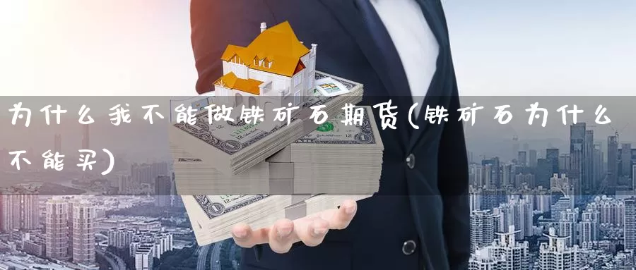 为什么我不能做铁矿石期货(铁矿石为什么不能买)_https://www.wjxxbs.com_期货入门_第1张