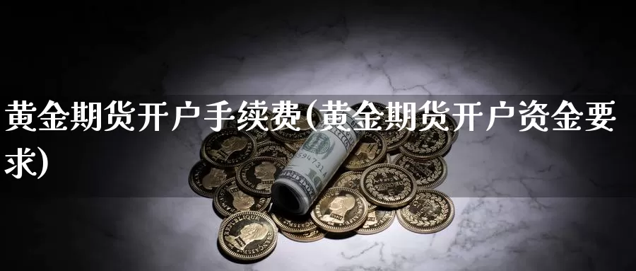 黄金期货开户手续费(黄金期货开户资金要求)_https://www.wjxxbs.com_期货入门_第1张