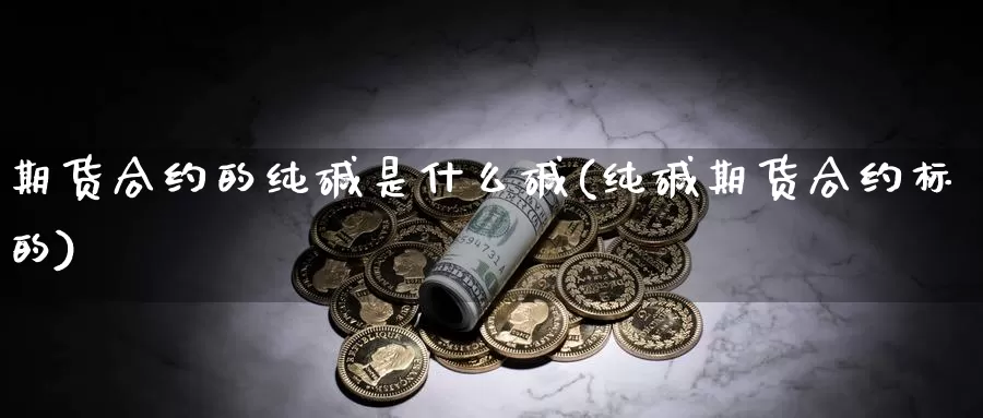 期货合约的纯碱是什么碱(纯碱期货合约标的)_https://www.wjxxbs.com_外汇直播室_第1张