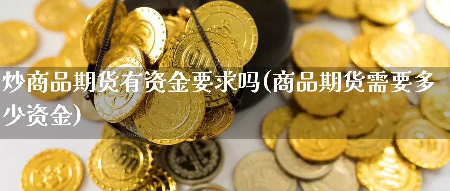 炒商品期货有资金要求吗(商品期货需要多少资金)_https://www.wjxxbs.com_期货入门_第1张