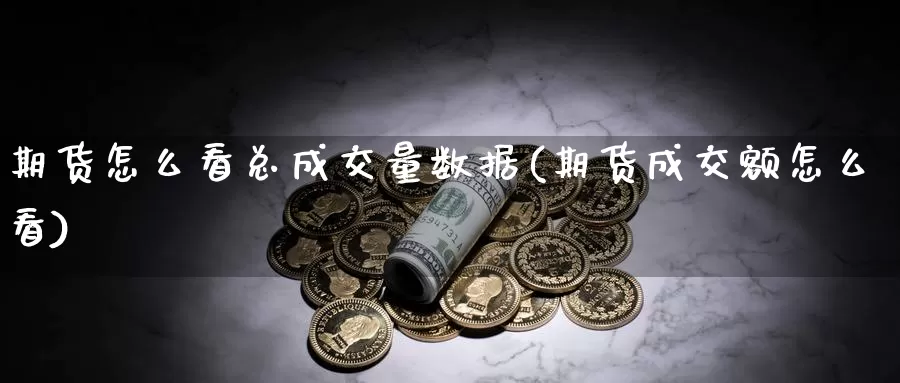 期货怎么看总成交量数据(期货成交额怎么看)_https://www.wjxxbs.com_外汇直播室_第1张