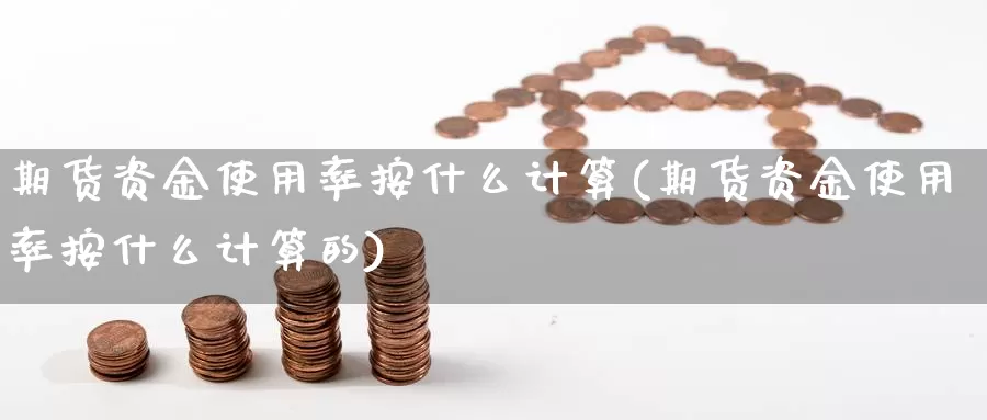 期货资金使用率按什么计算(期货资金使用率按什么计算的)_https://www.wjxxbs.com_外汇行情_第1张