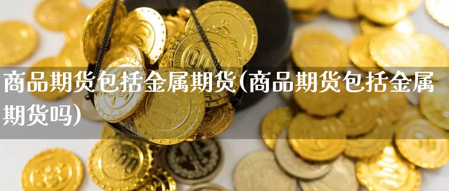 商品期货包括金属期货(商品期货包括金属期货吗)_https://www.wjxxbs.com_期货入门_第1张