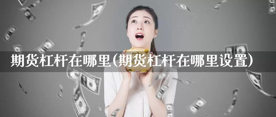 期货杠杆在哪里(期货杠杆在哪里设置)_https://www.wjxxbs.com_外汇行情_第1张