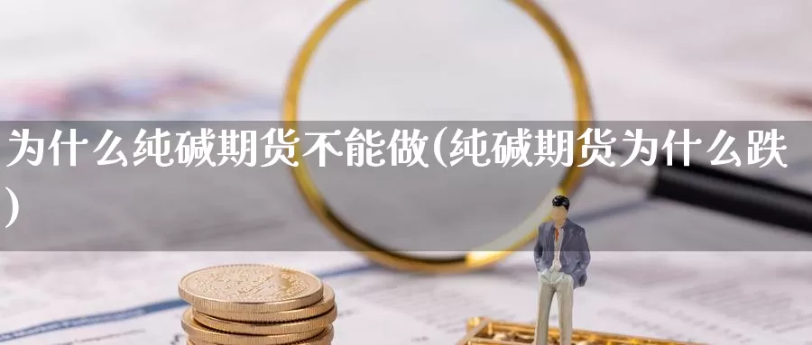 为什么纯碱期货不能做(纯碱期货为什么跌)_https://www.wjxxbs.com_期货入门_第1张