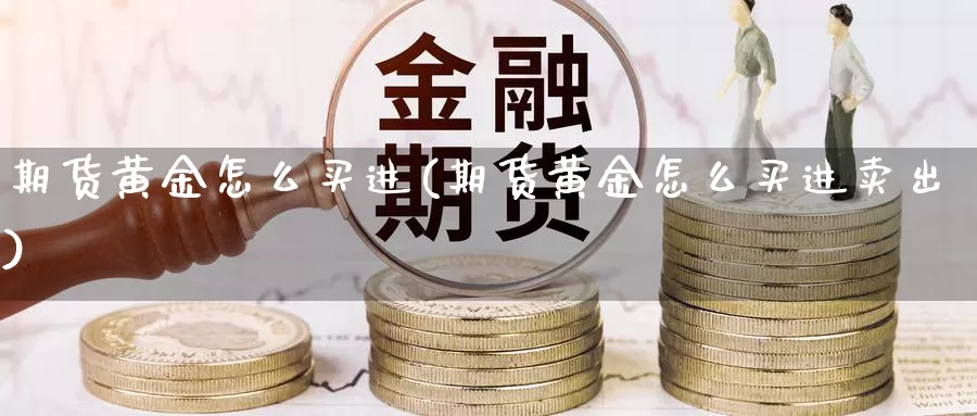 期货黄金怎么买进(期货黄金怎么买进卖出)_https://www.wjxxbs.com_外汇直播室_第1张