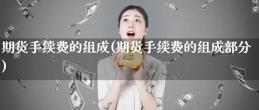 期货手续费的组成(期货手续费的组成部分)_https://www.wjxxbs.com_外汇直播室_第1张