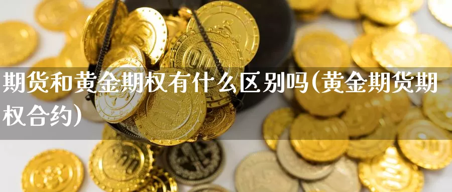 期货和黄金期权有什么区别吗(黄金期货期权合约)_https://www.wjxxbs.com_期货入门_第1张