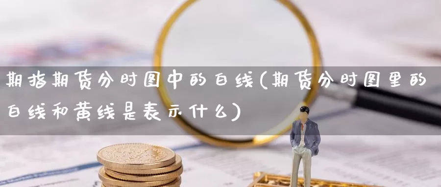 期指期货分时图中的白线(期货分时图里的白线和黄线是表示什么)_https://www.wjxxbs.com_外汇直播室_第1张