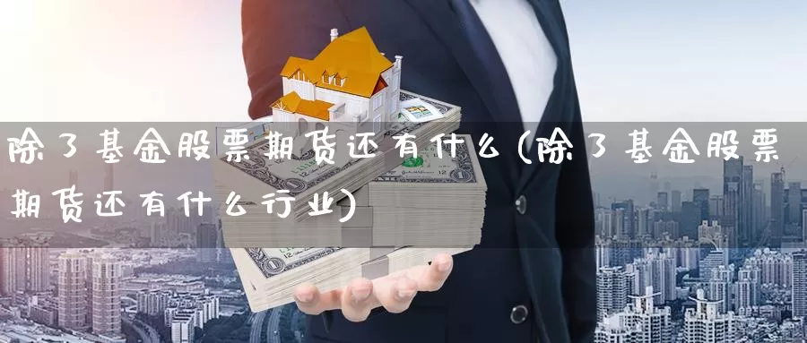 除了基金股票期货还有什么(除了基金股票期货还有什么行业)_https://www.wjxxbs.com_期货入门_第1张