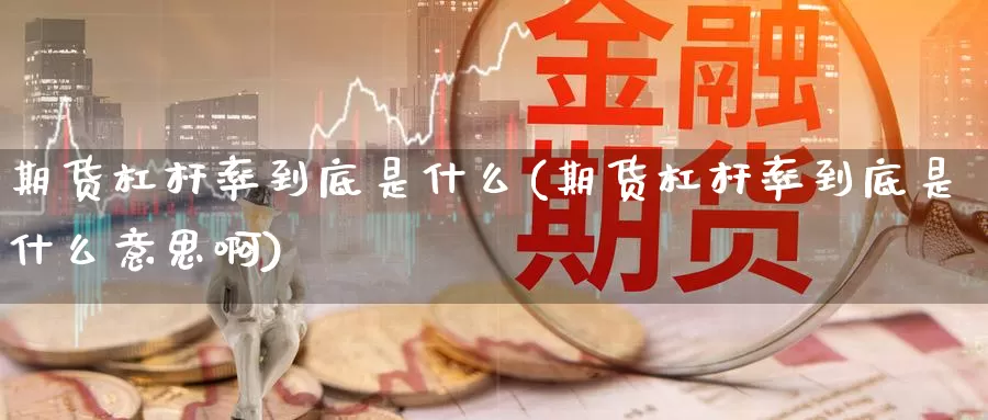 期货杠杆率到底是什么(期货杠杆率到底是什么意思啊)_https://www.wjxxbs.com_期货入门_第1张