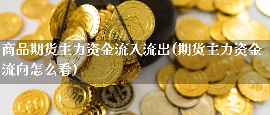 商品期货主力资金流入流出(期货主力资金流向怎么看)_https://www.wjxxbs.com_期货入门_第1张