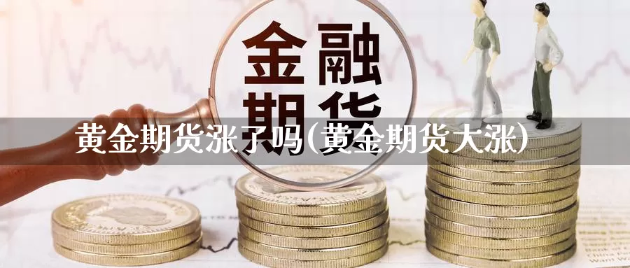 黄金期货涨了吗(黄金期货大涨)_https://www.wjxxbs.com_期货入门_第1张