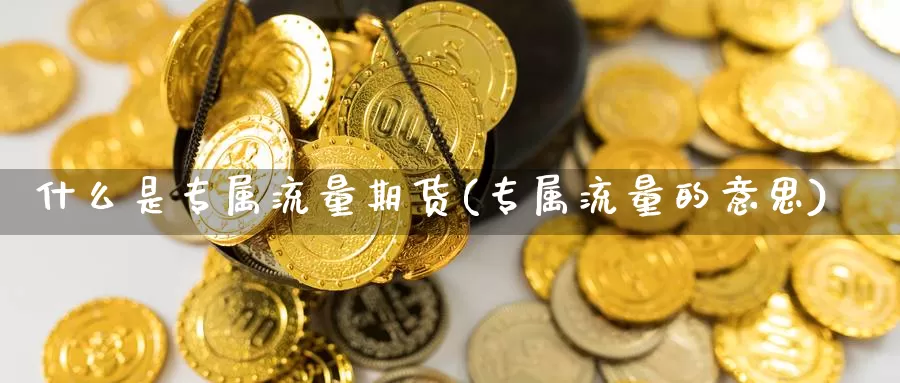 什么是专属流量期货(专属流量的意思)_https://www.wjxxbs.com_外汇行情_第1张