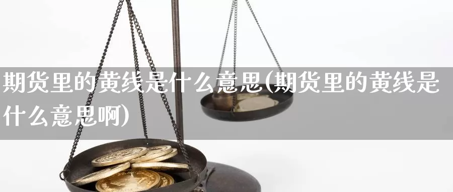 期货里的黄线是什么意思(期货里的黄线是什么意思啊)_https://www.wjxxbs.com_期货入门_第1张