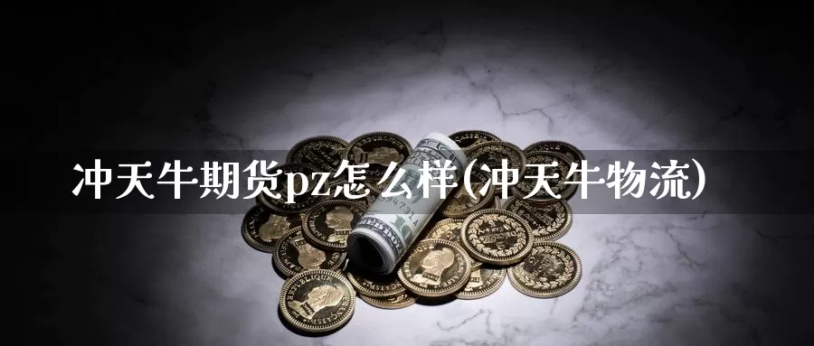 冲天牛期货pz怎么样(冲天牛物流)_https://www.wjxxbs.com_外汇行情_第1张