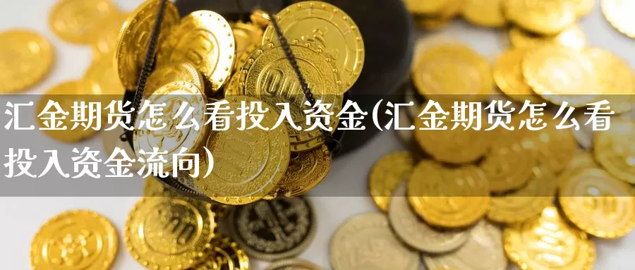 汇金期货怎么看投入资金(汇金期货怎么看投入资金流向)_https://www.wjxxbs.com_期货入门_第1张