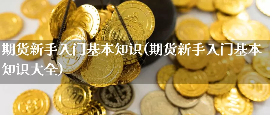 期货新手入门基本知识(期货新手入门基本知识大全)_https://www.wjxxbs.com_外汇直播室_第1张