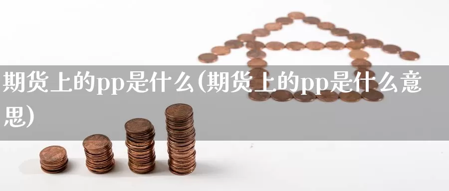 期货上的pp是什么(期货上的pp是什么意思)_https://www.wjxxbs.com_外汇直播室_第1张