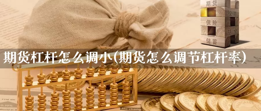 期货杠杆怎么调小(期货怎么调节杠杆率)_https://www.wjxxbs.com_期货入门_第1张