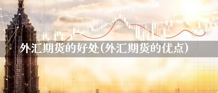 外汇期货的好处(外汇期货的优点)_https://www.wjxxbs.com_期货入门_第1张