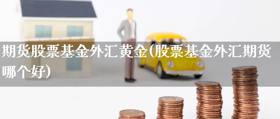 期货股票基金外汇黄金(股票基金外汇期货哪个好)_https://www.wjxxbs.com_外汇直播室_第1张