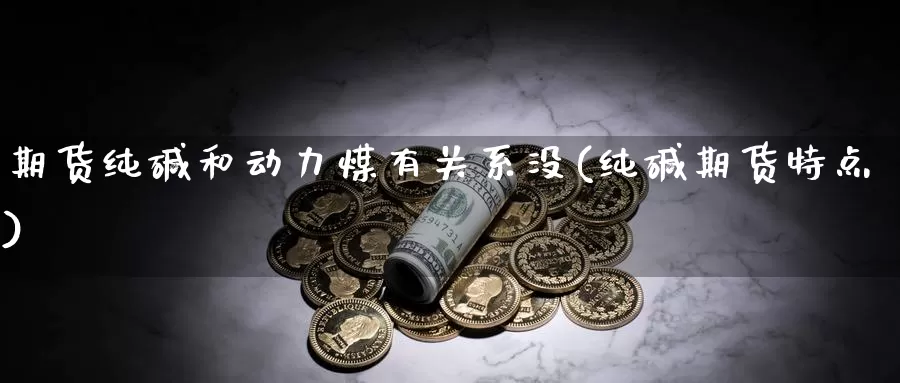 期货纯碱和动力煤有关系没(纯碱期货特点)_https://www.wjxxbs.com_外汇行情_第1张