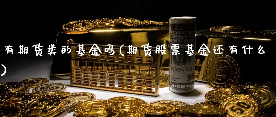 有期货类的基金吗(期货股票基金还有什么)_https://www.wjxxbs.com_期货入门_第1张