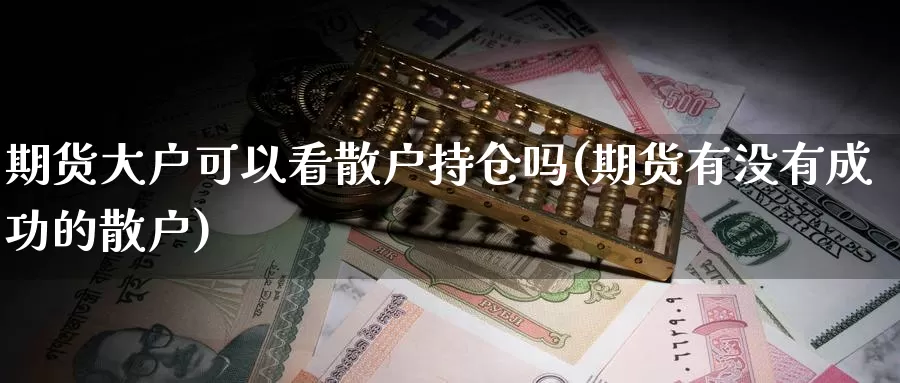 期货大户可以看散户持仓吗(期货有没有成功的散户)_https://www.wjxxbs.com_期货入门_第1张